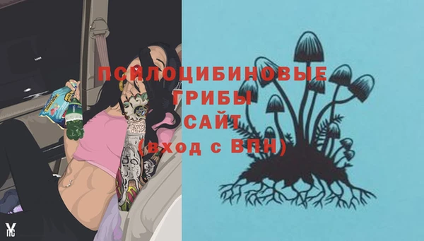 spice Баксан