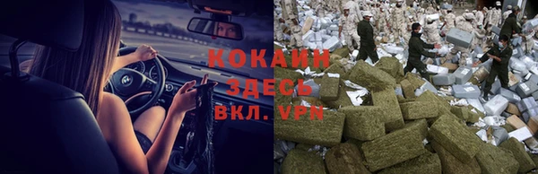 spice Баксан