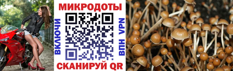 Галлюциногенные грибы MAGIC MUSHROOMS Нязепетровск